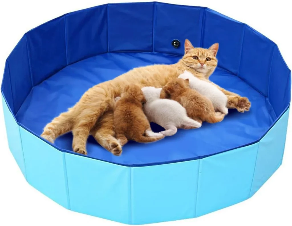 Cat Birthing Box